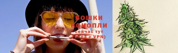 a pvp Бородино