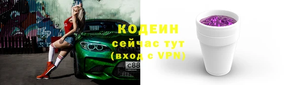 a pvp Бородино