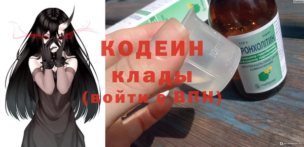 a pvp Бородино