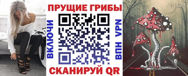 Галлюциногенные грибы ЛСД  Горно-Алтайск 