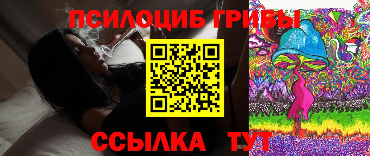 Галлюциногенные грибы Psilocybine cubensis  Вход с VPN  наркотики  Горно-Алтайск  Псилоцибиновые грибы MAGIC MUSHROOMS 
