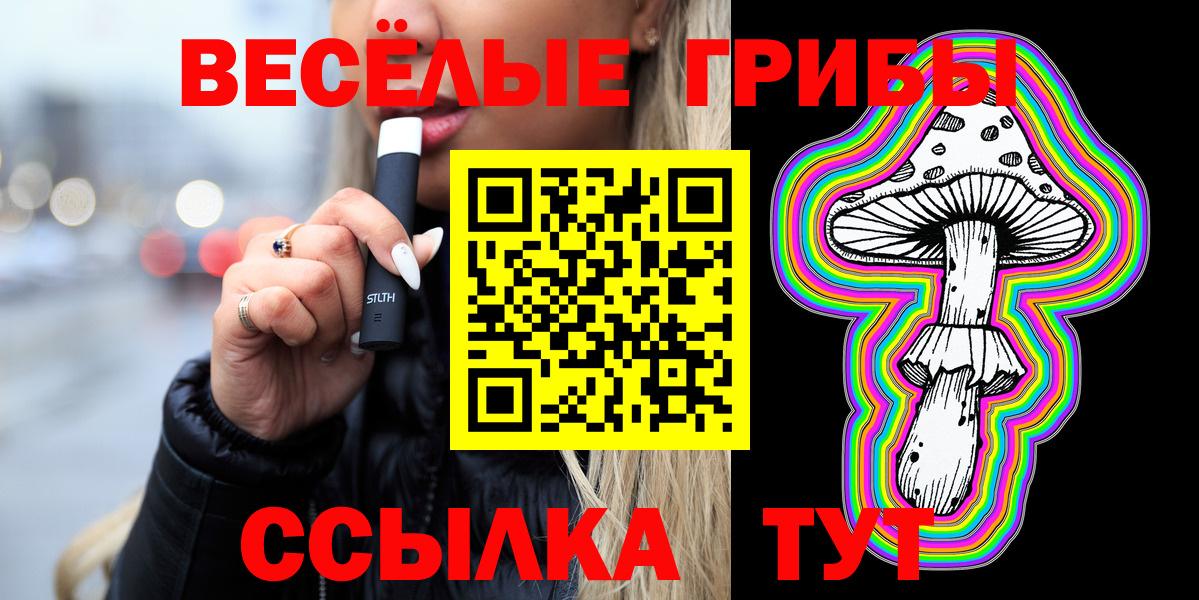 Галлюциногенные грибы мицелий Горно-Алтайск