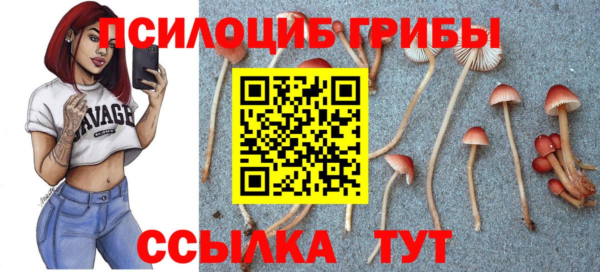МЕФ   ГАШ  Марихуана  МЕТ  Вход с VPN  Меф МЯУ МЯУ  Горно-Алтайск  COCAIN 